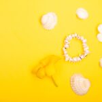 Reddybook Review: How This Innovative Platform Enhances Learning with 11xplay Integration